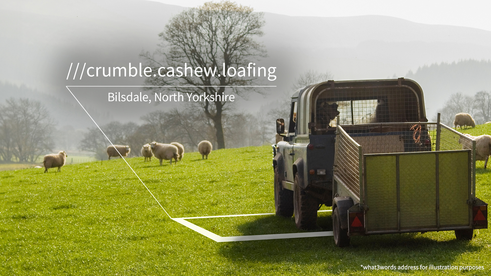 a car and trailer in a field with some sheep