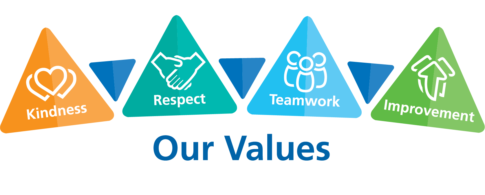 Our Vision and Values